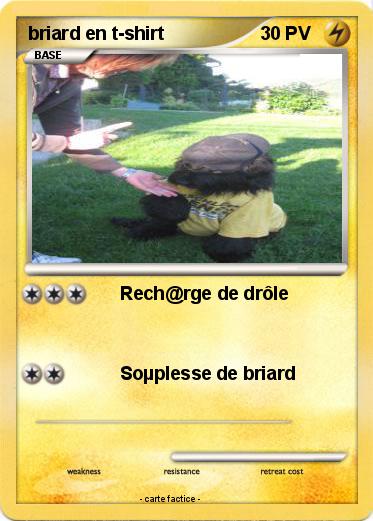 Pokemon briard en t-shirt