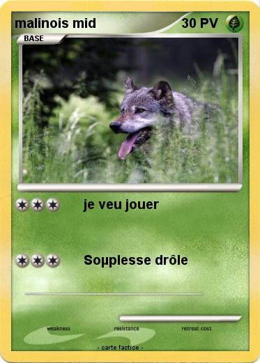 Pokemon malinois mid