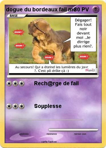 Pokemon dogue du bordeaux fail me