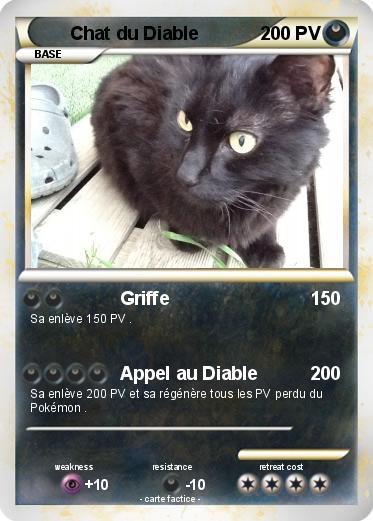 Pokemon Chat du Diable