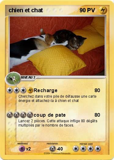 Pokemon chien et chat