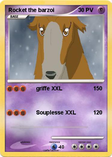 Pokemon Rocket the barzoi