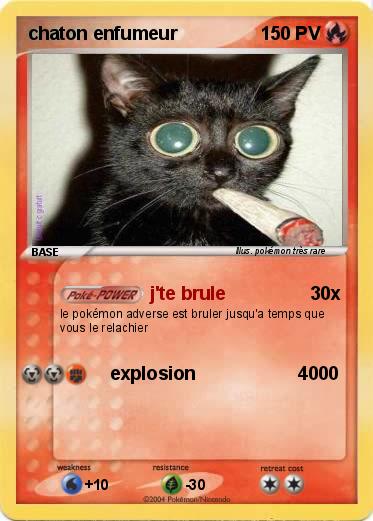 Pokemon chaton enfumeur