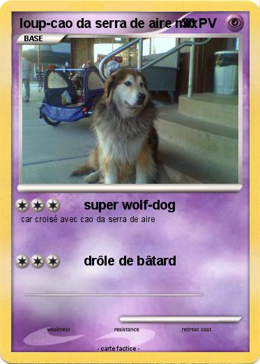 Pokemon loup-cao da serra de aire mix