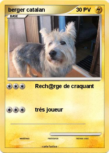 Pokemon berger catalan