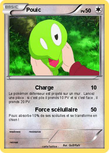 Pokemon Pouic