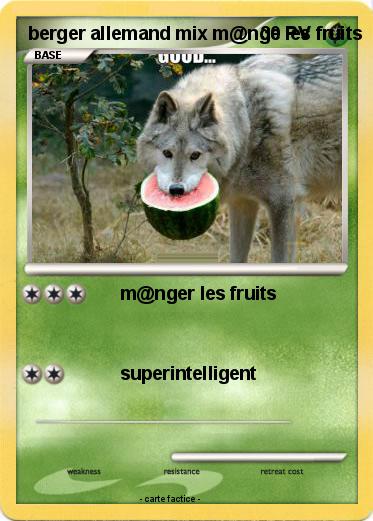 Pokemon berger allemand mix m@nge les fruits