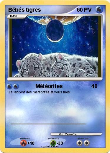 Pokemon Bébés tigres