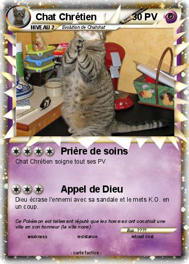 Pokemon Chat Chrétien                                                                                       Version corrigée