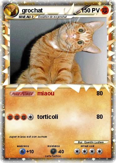 Pokemon grochat