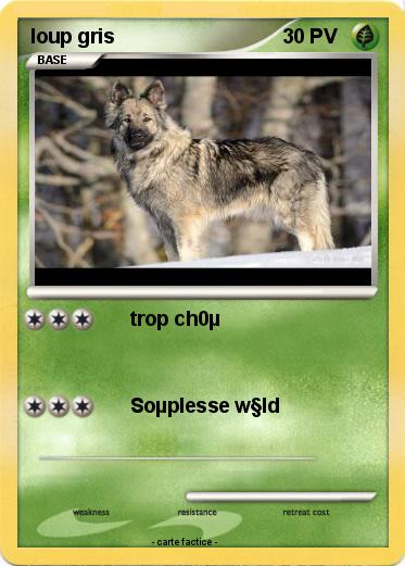 Pokemon loup gris