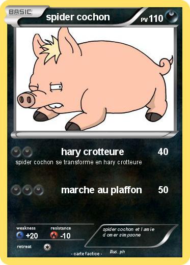 Pokemon spider cochon