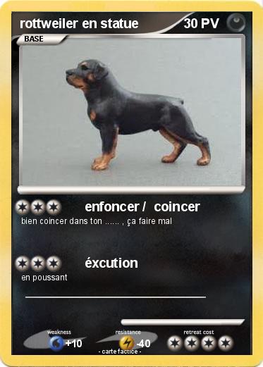 Pokemon rottweiler en statue