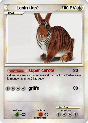 Pokemon Lapin tigré