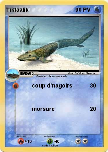 Pokemon Tiktaalik