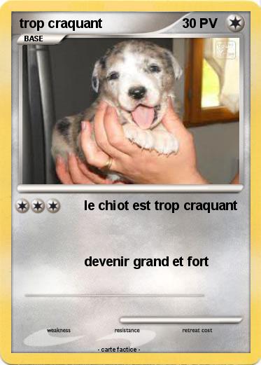 Pokemon trop craquant