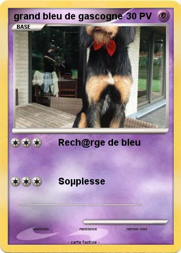 Pokemon grand bleu de gascogne