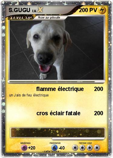 Pokemon S.GUGU
