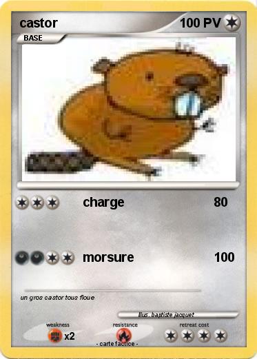 Pokemon castor