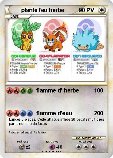 Pokemon plante feu herbe