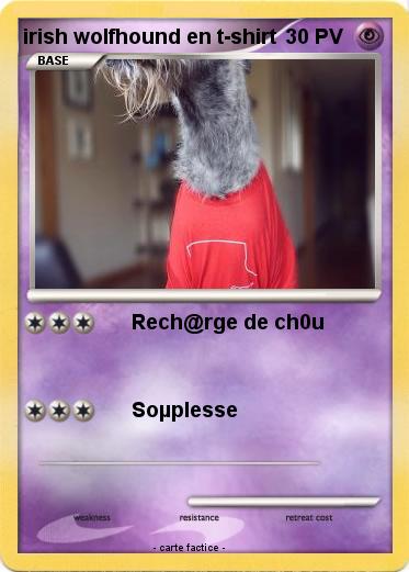 Pokemon irish wolfhound en t-shirt