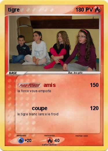 Pokemon tigre