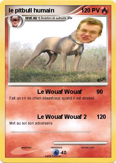 Pokemon le pitbull humain