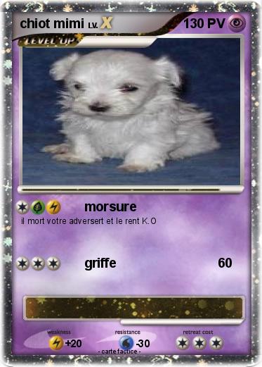 Pokemon chiot mimi