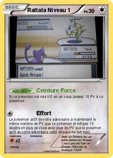 Pokemon Rattata Niveau 1