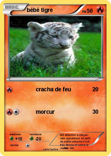 Pokemon bébé tigre