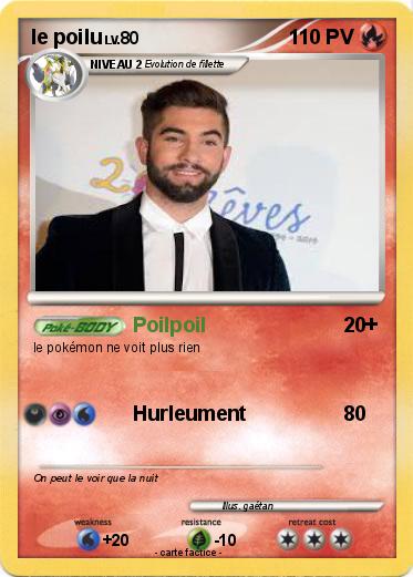Pokemon le poilu