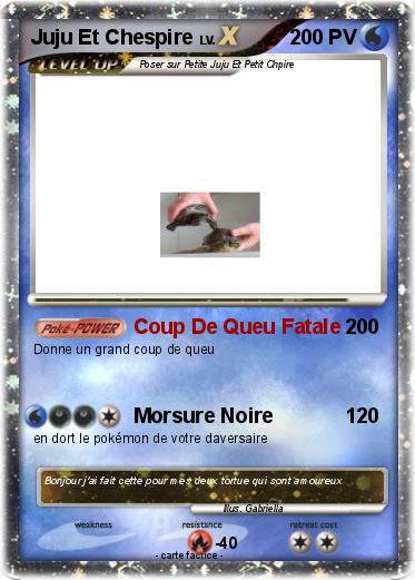 Pokemon Juju Et Chespire