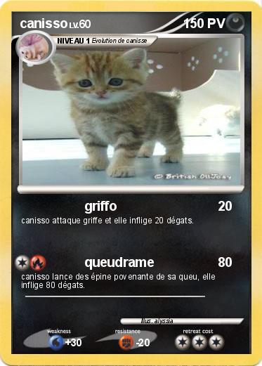 Pokemon canisso