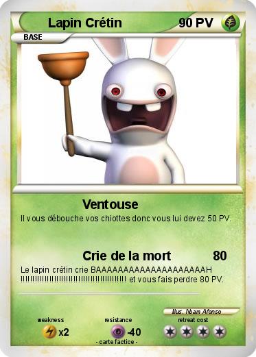 Pokemon Lapin Crétin