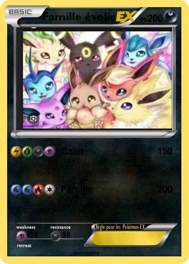 Pokemon Famille évolie