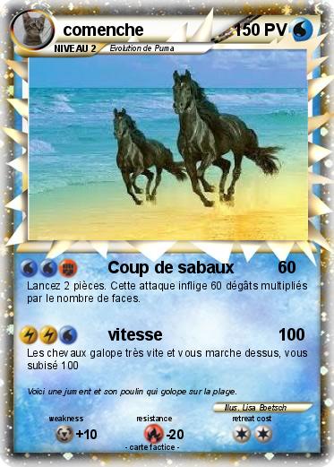 Pokemon comenche