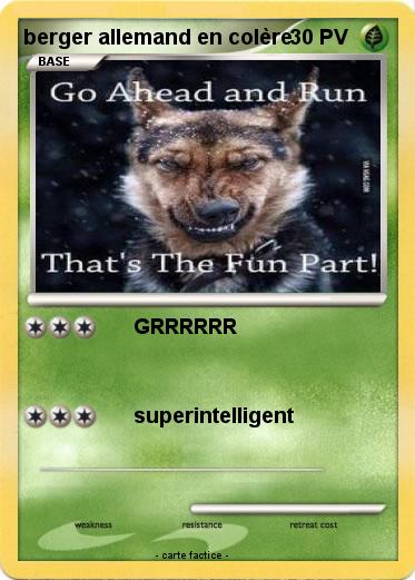 Pokemon berger allemand en colère