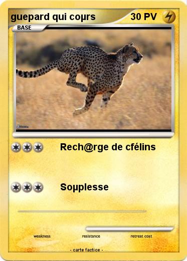 Pokemon guepard qui coµrs