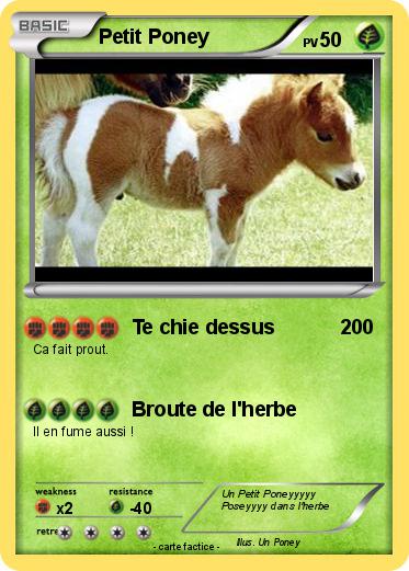 Pokemon Petit Poney