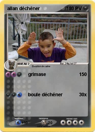 Pokemon allan déchéner