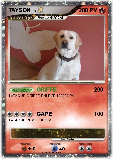 Pokemon TAYSON