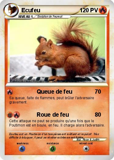 Pokemon Ecufeu