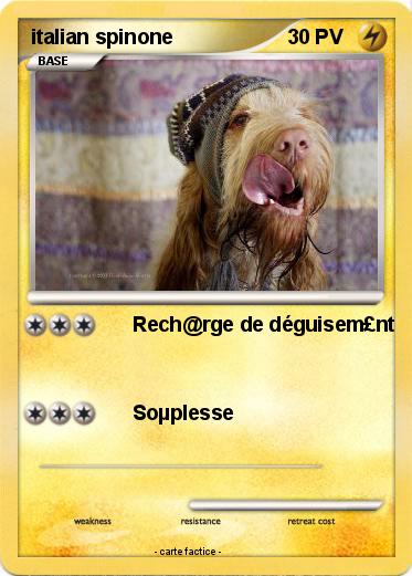 Pokemon italian spinone