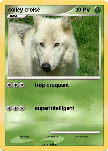 Pokemon colley croisé