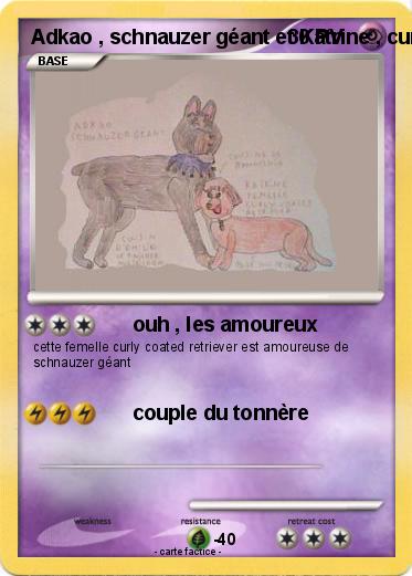 Pokemon Adkao , schnauzer géant et Katrine , curly coated retriever