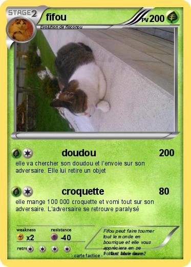 Pokemon fifou