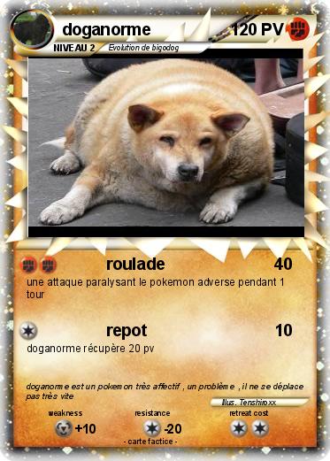 Pokemon doganorme