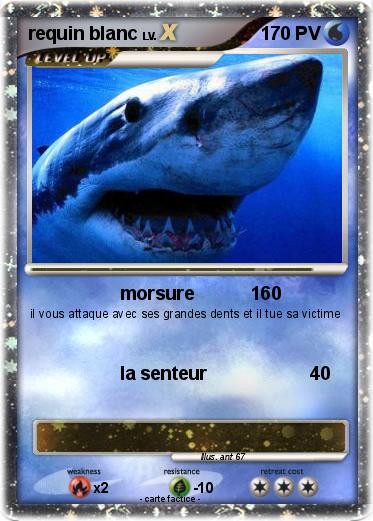 Pokemon requin blanc
