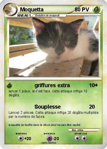 Pokemon Moquetta