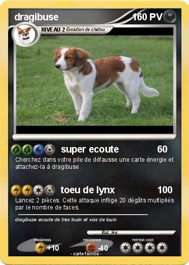 Pokemon dragibuse